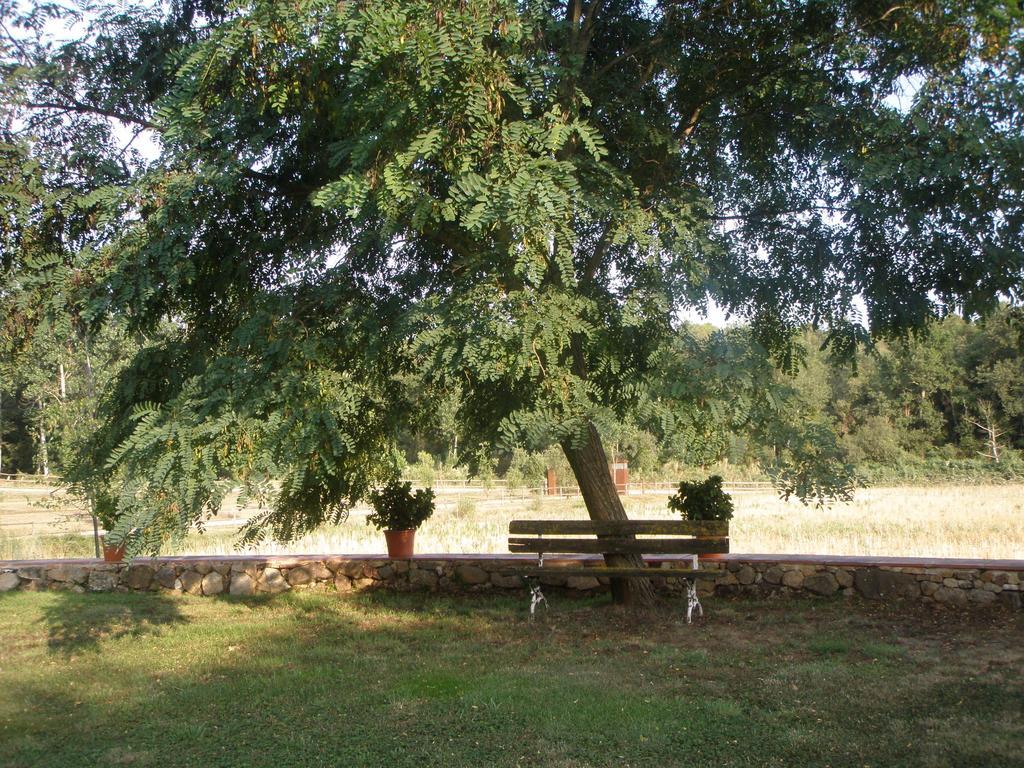 Mas Vilalonga Petit Cassà de la Selva Esterno foto